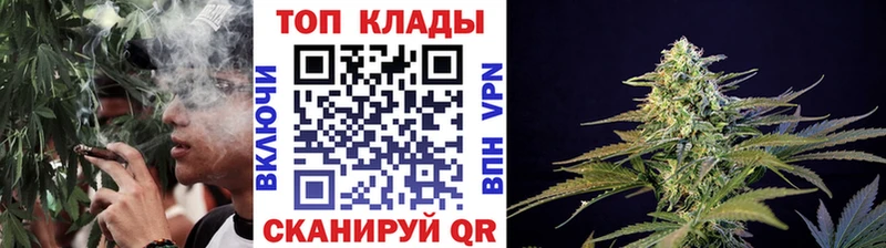 Купить наркоту Эртиль ГАШ  Псилоцибиновые грибы  Мефедрон  Конопля  СК 