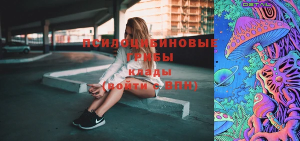 шишки Нефтегорск